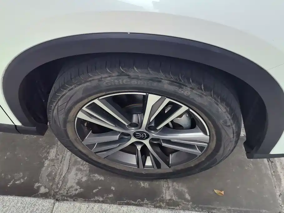BYD Pro New Energy — фото 6