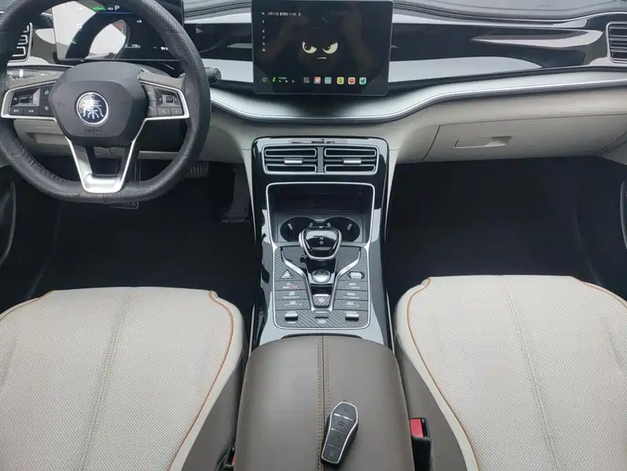 BYD Qin PLUS — фото 16