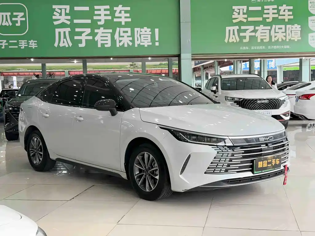 BYD Destroyer 05 — фото 3