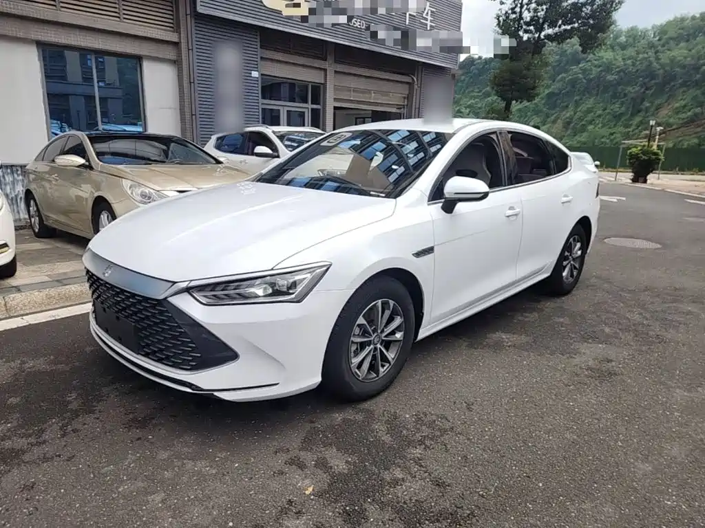 BYD Qin PLUS — фото 2
