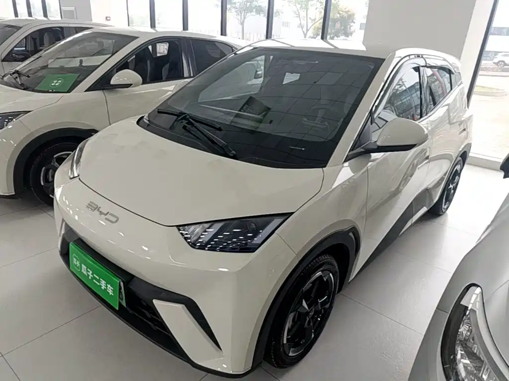 BYD Seagull