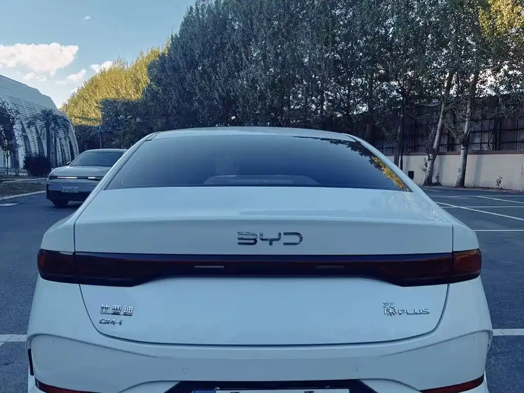 BYD Qin PLUS — фото 4