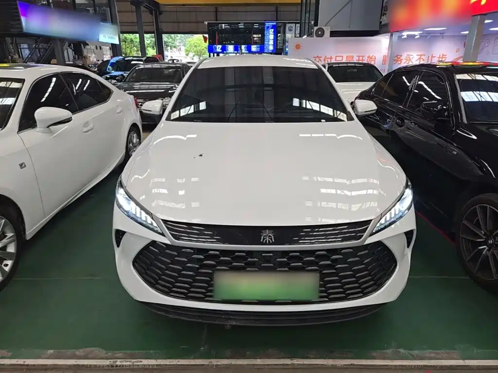 BYD Qin PLUS — фото 3