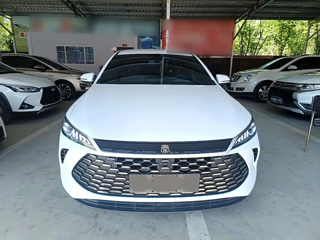 BYD Qin PLUS — фото 3