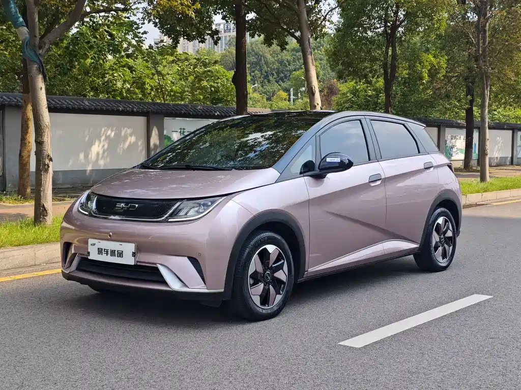 BYD Dolphin