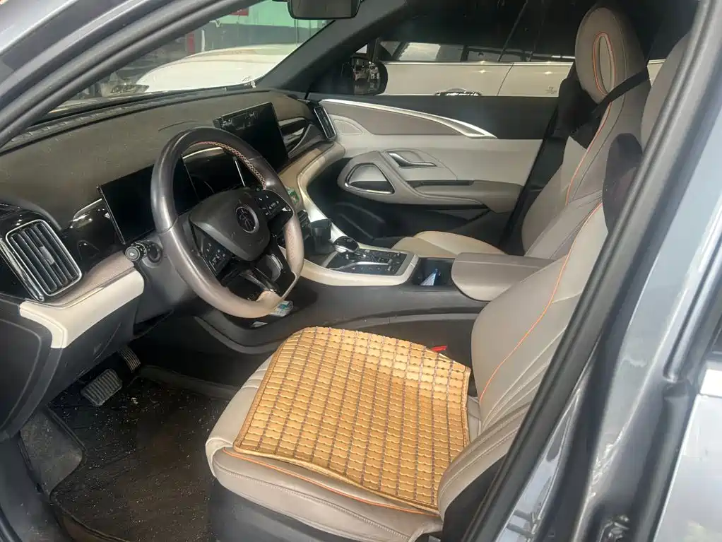 BYD Pro New Energy — фото 10