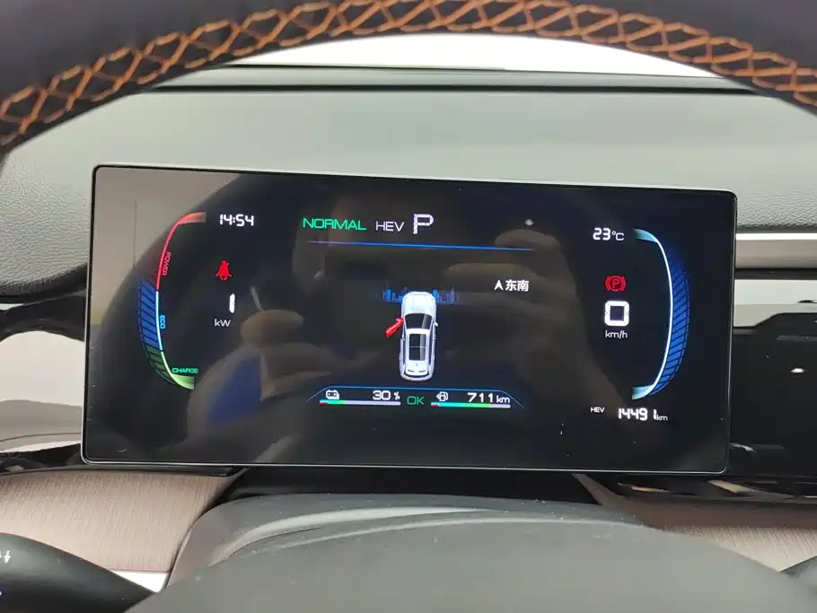 BYD Pro New Energy — фото 14