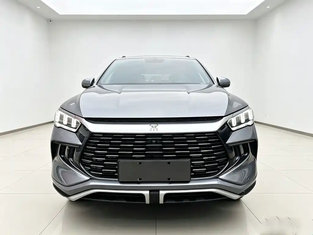 BYD Pro New Energy — фото 2