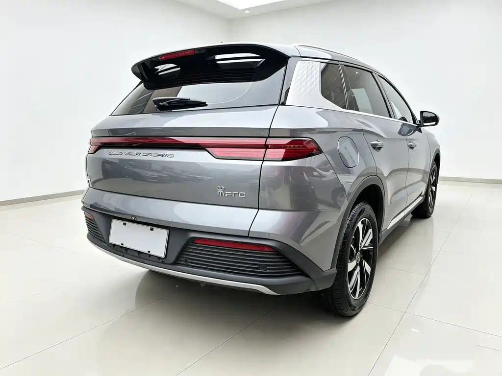 BYD Pro New Energy — фото 6