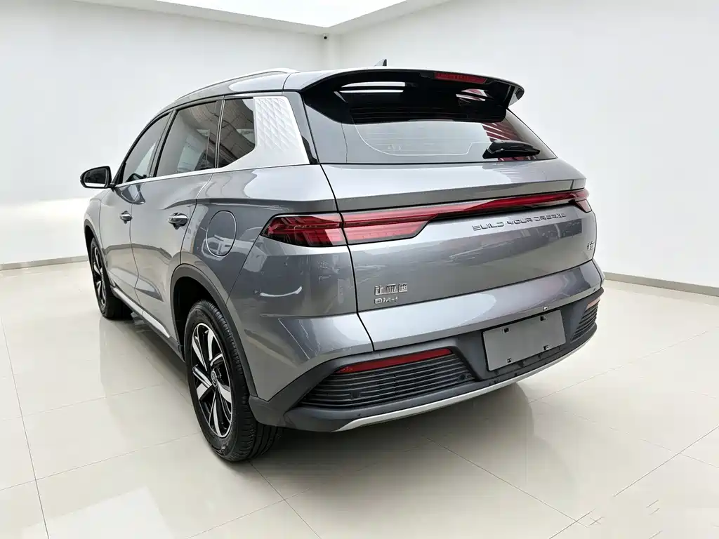 BYD Pro New Energy — фото 7