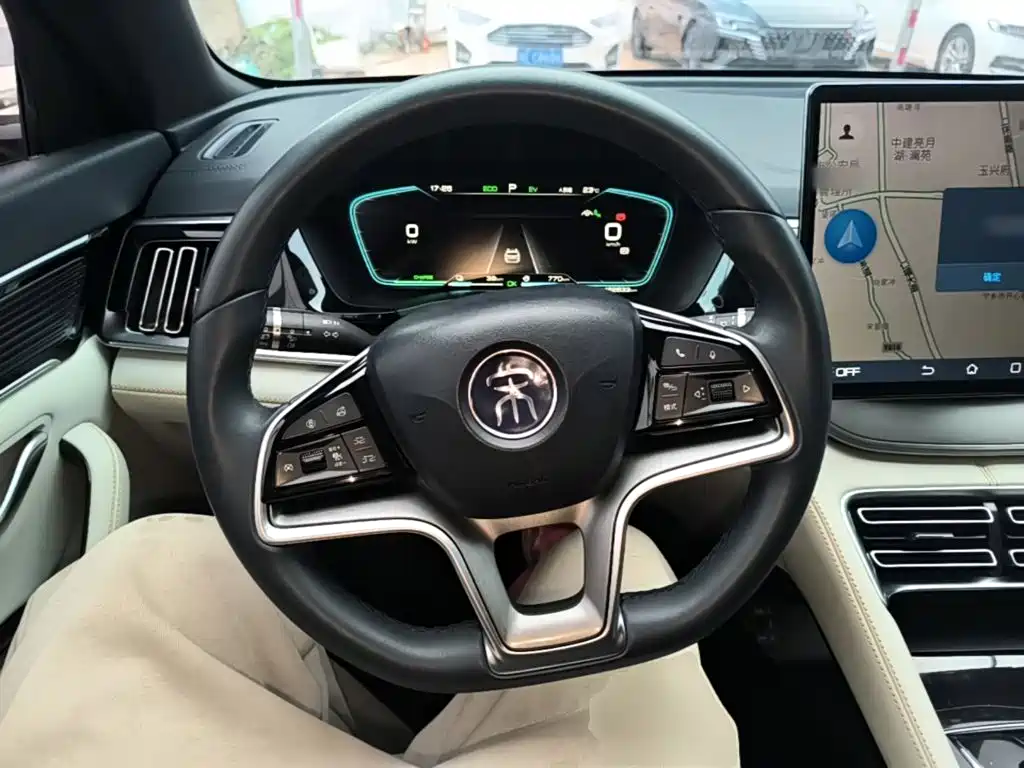 BYD PLUS New Energy — фото 11
