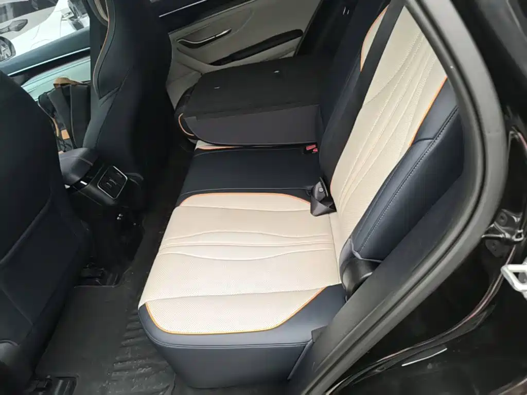 BYD PLUS New Energy — фото 17