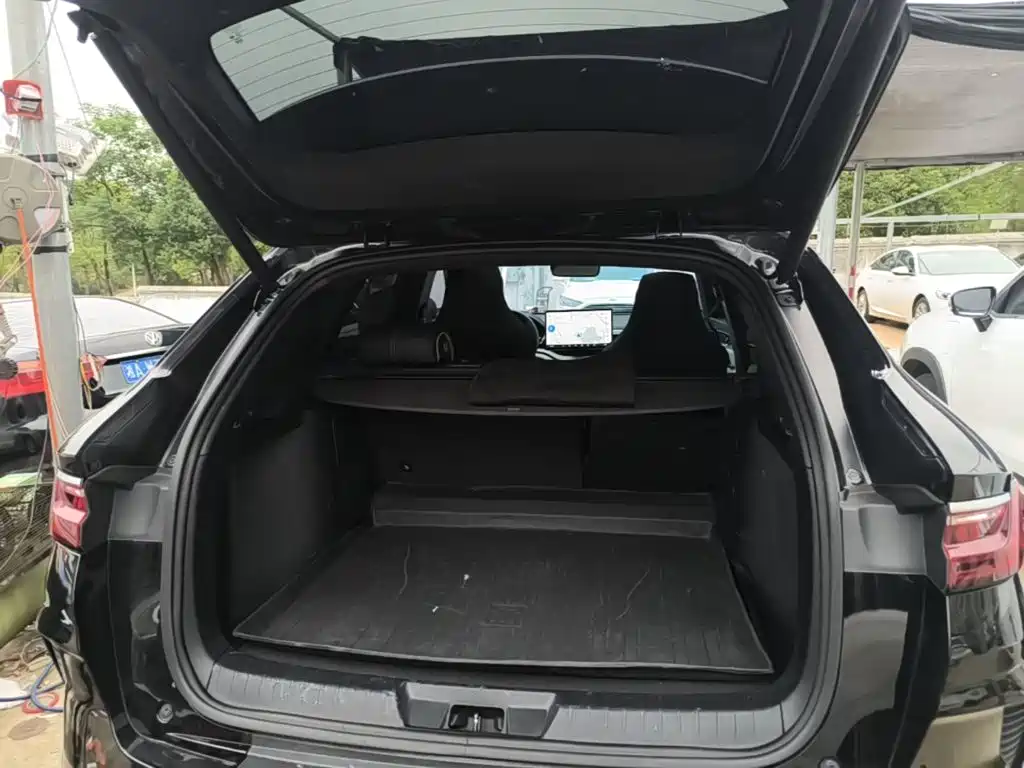 BYD PLUS New Energy — фото 19