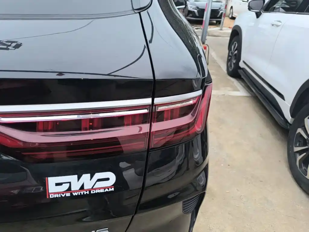 BYD PLUS New Energy — фото 8