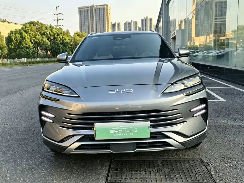 BYD PLUS New Energy — фото 2