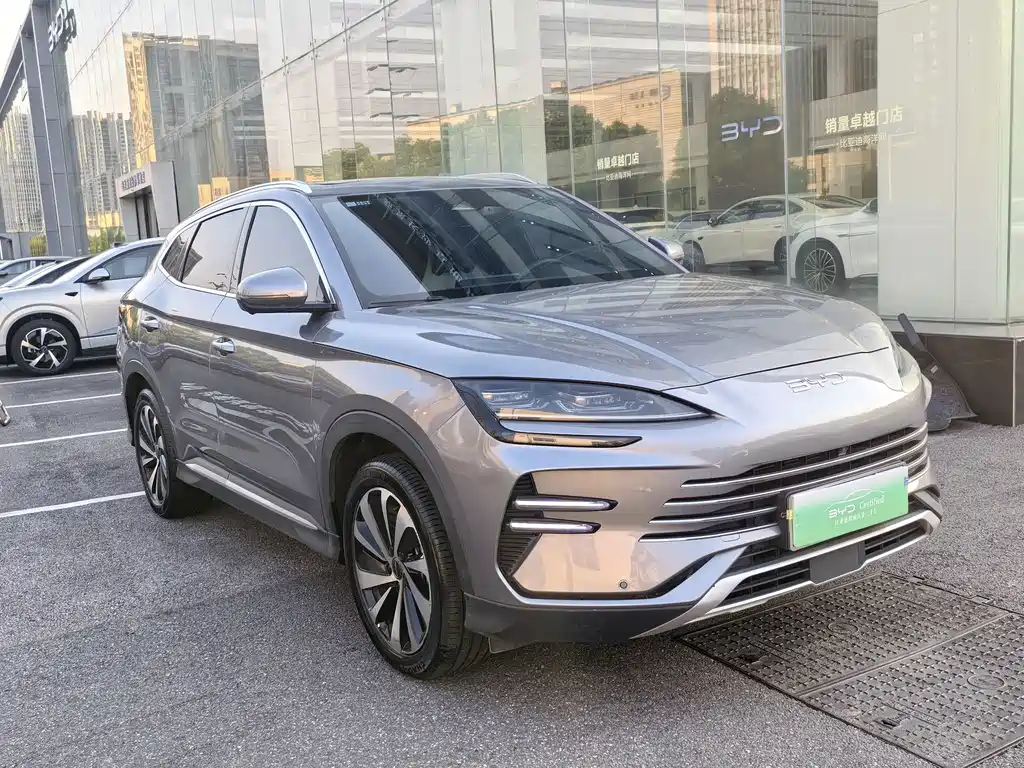 BYD PLUS New Energy — фото 3