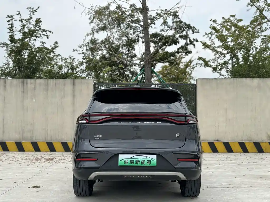 BYD Tang New Energy — фото 9