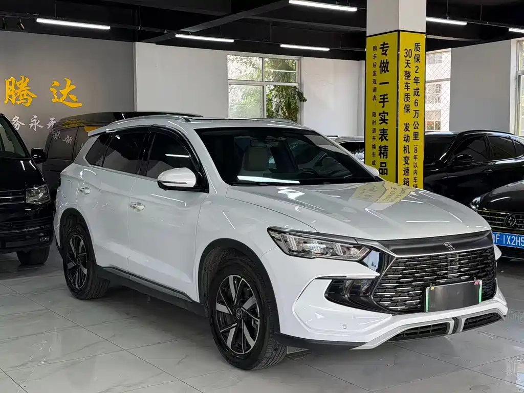 BYD Pro New Energy — фото 3