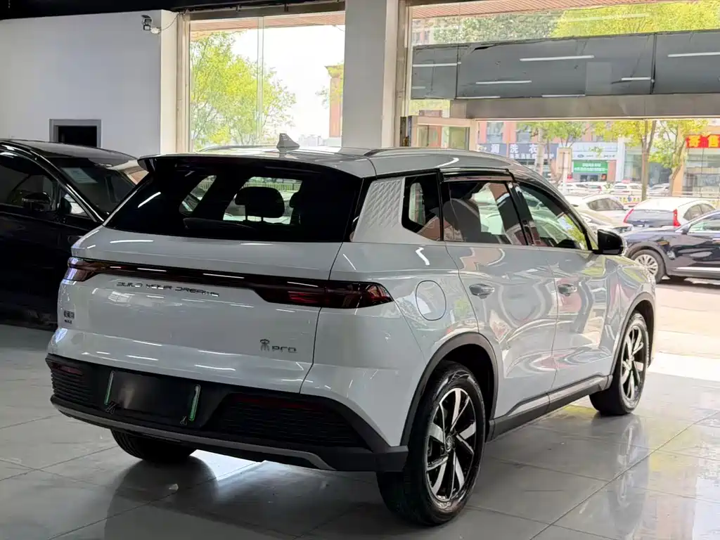 BYD Pro New Energy — фото 5