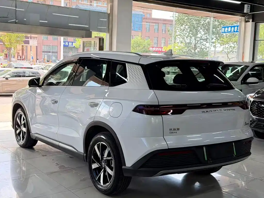 BYD Pro New Energy — фото 6