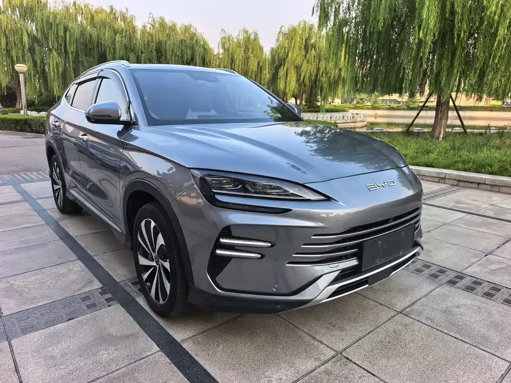 BYD PLUS New Energy — фото 2