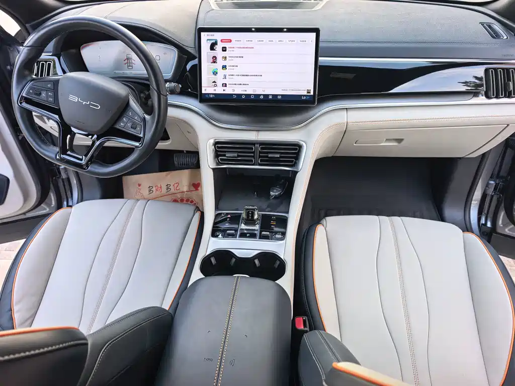 BYD PLUS New Energy — фото 11