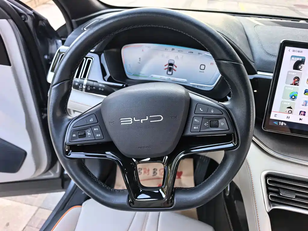 BYD PLUS New Energy — фото 13