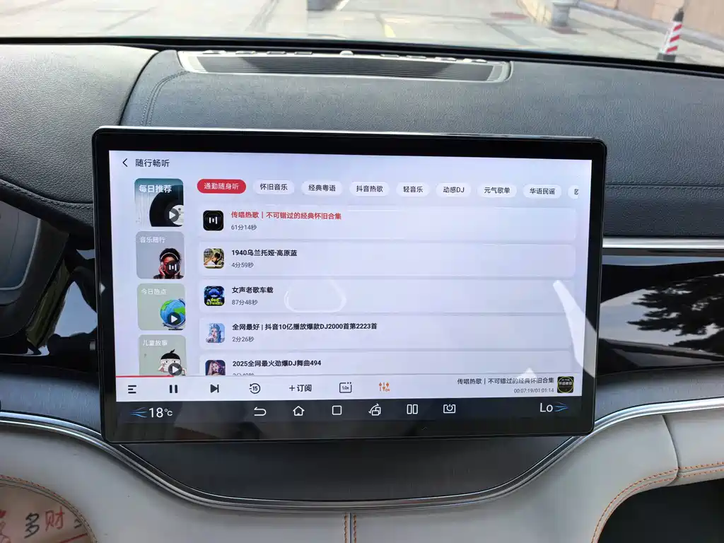 BYD PLUS New Energy — фото 15