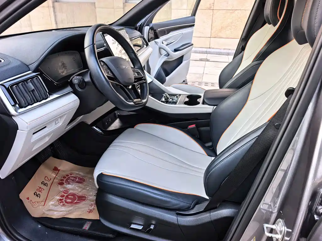 BYD PLUS New Energy — фото 8