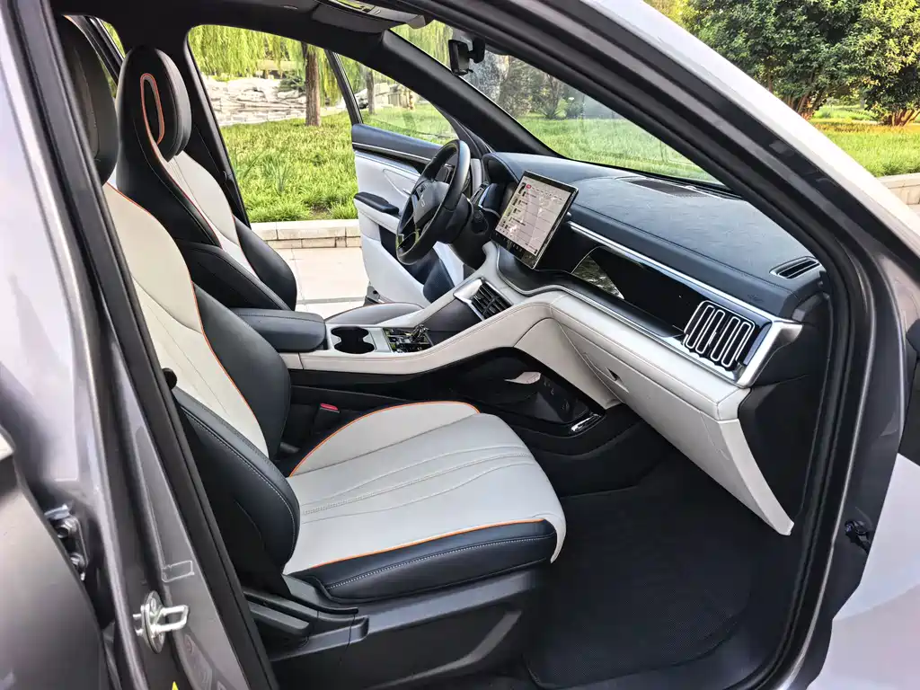 BYD PLUS New Energy — фото 10