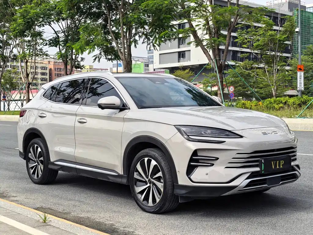 BYD PLUS New Energy — фото 3