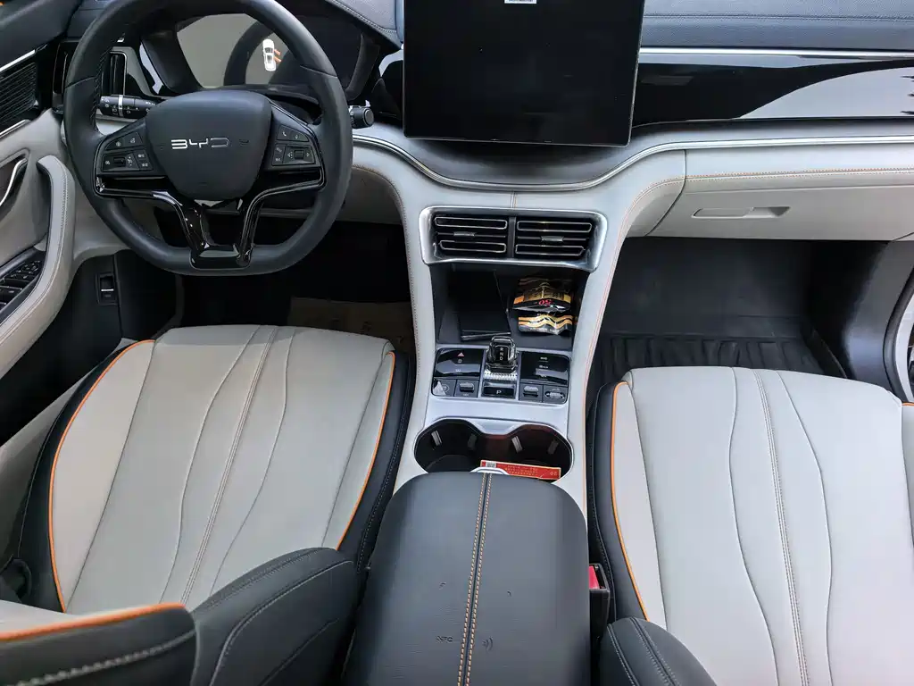 BYD PLUS New Energy — фото 11