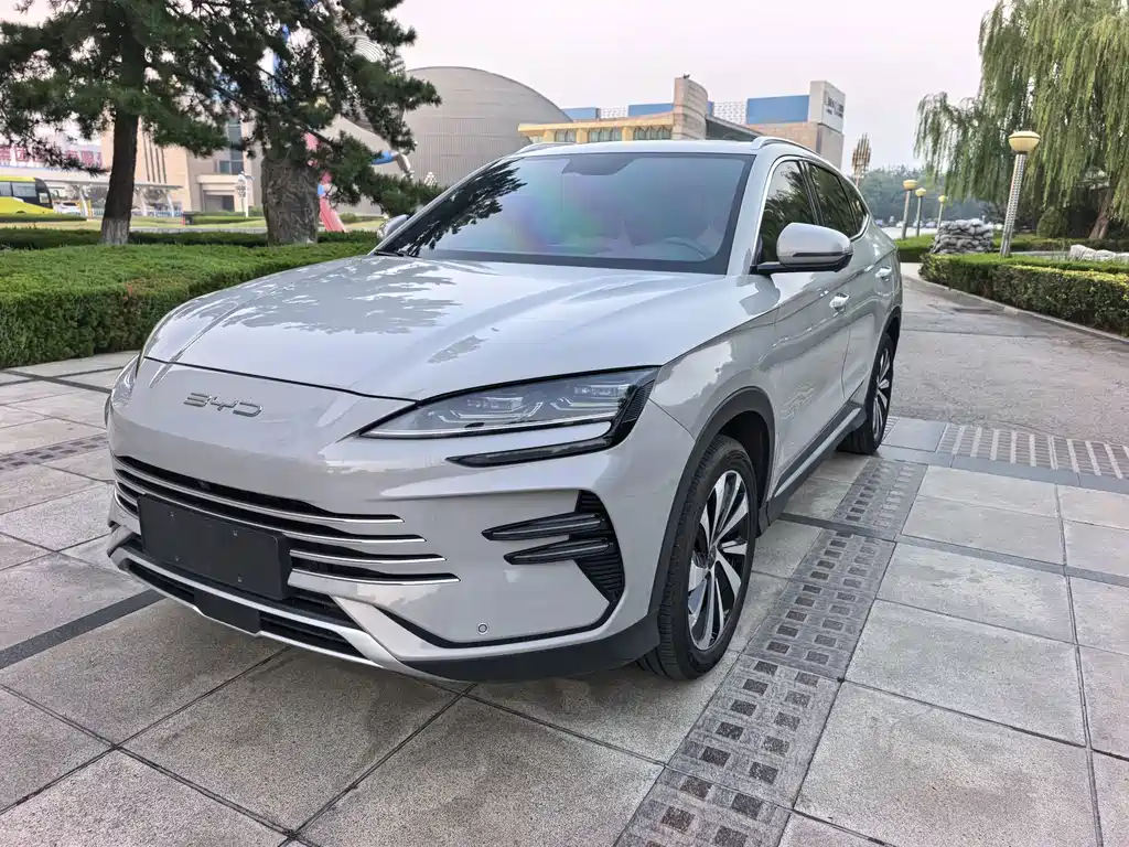 BYD PLUS New Energy — фото 3