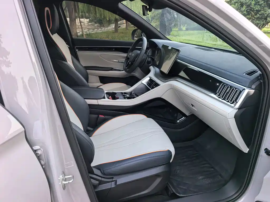 BYD PLUS New Energy — фото 10