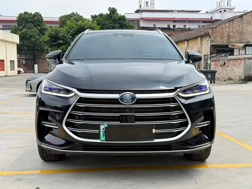 BYD Tang New Energy — фото 2