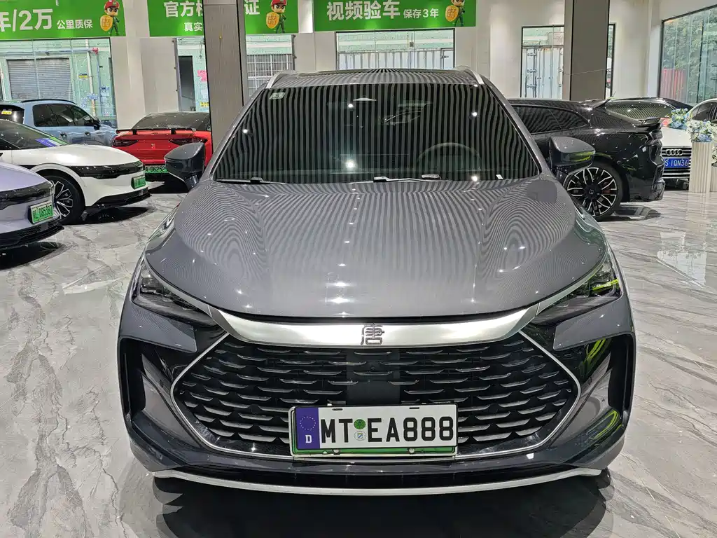 BYD Tang New Energy — фото 2