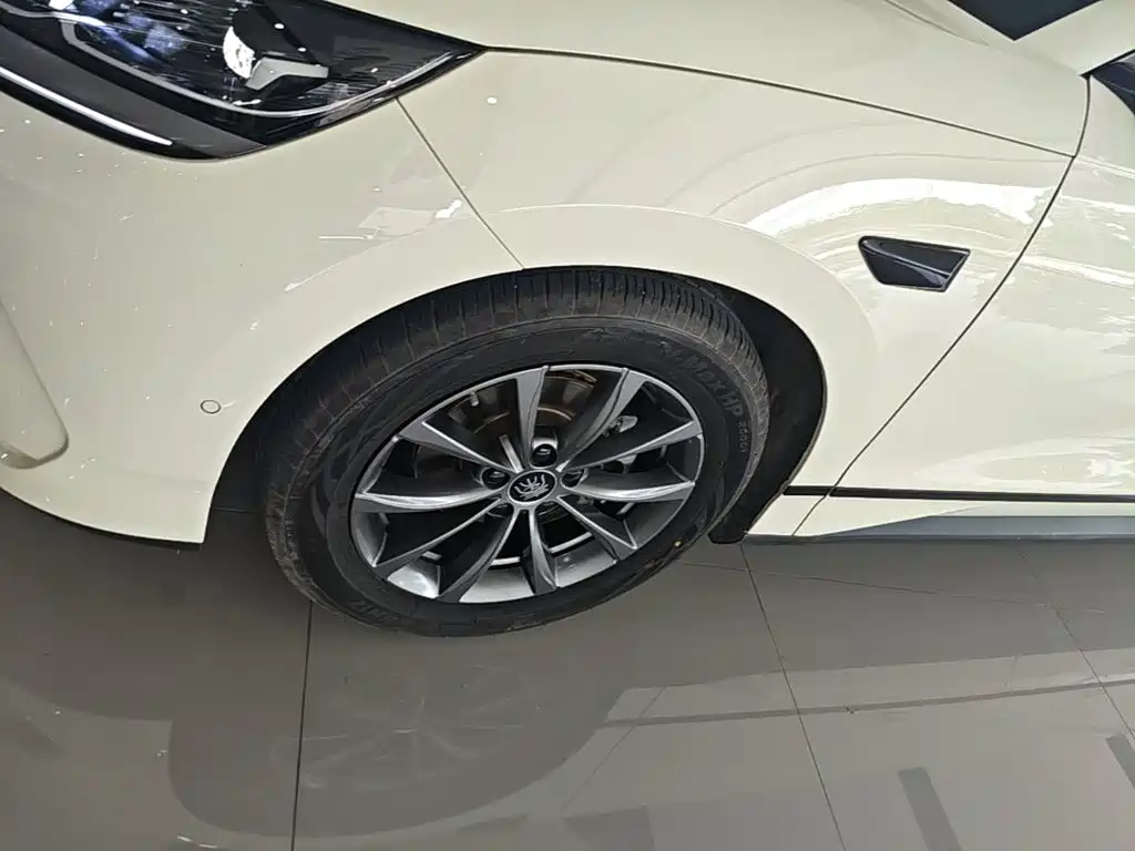 BYD Qin L — фото 23