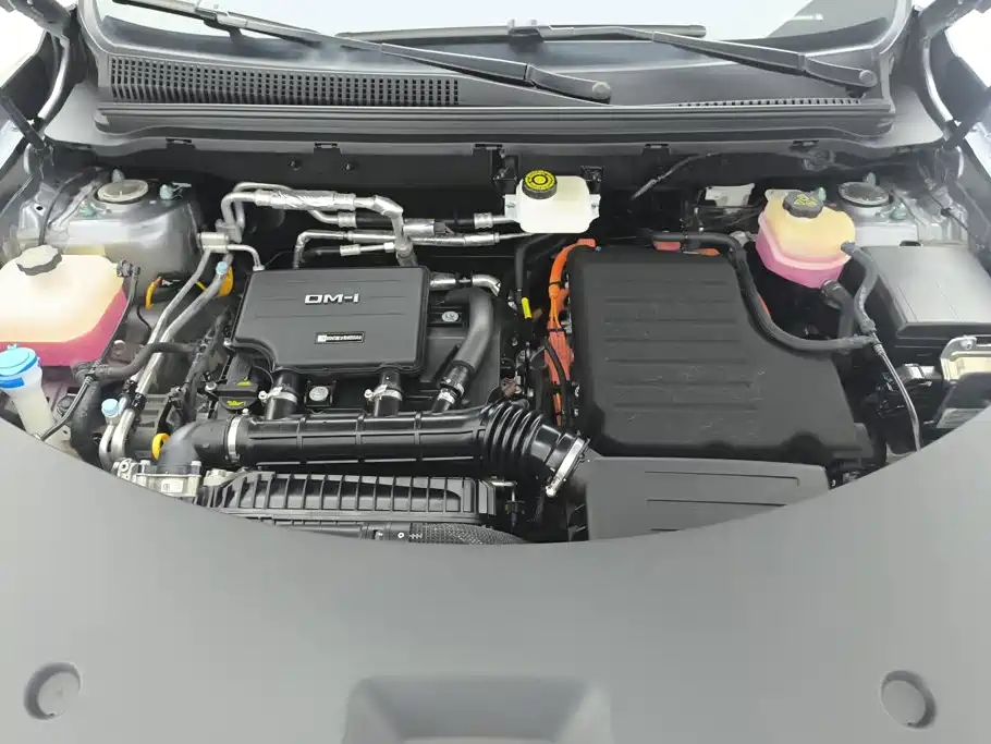 BYD Pro New Energy — фото 10