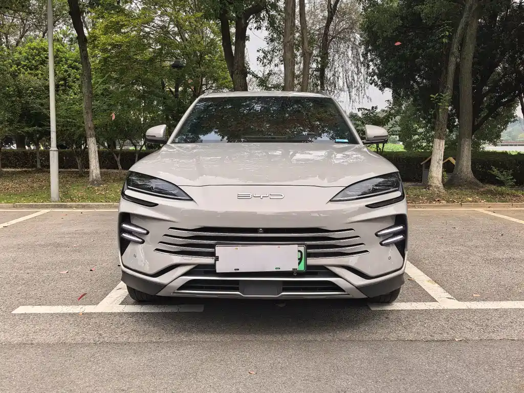 BYD PLUS New Energy — фото 2