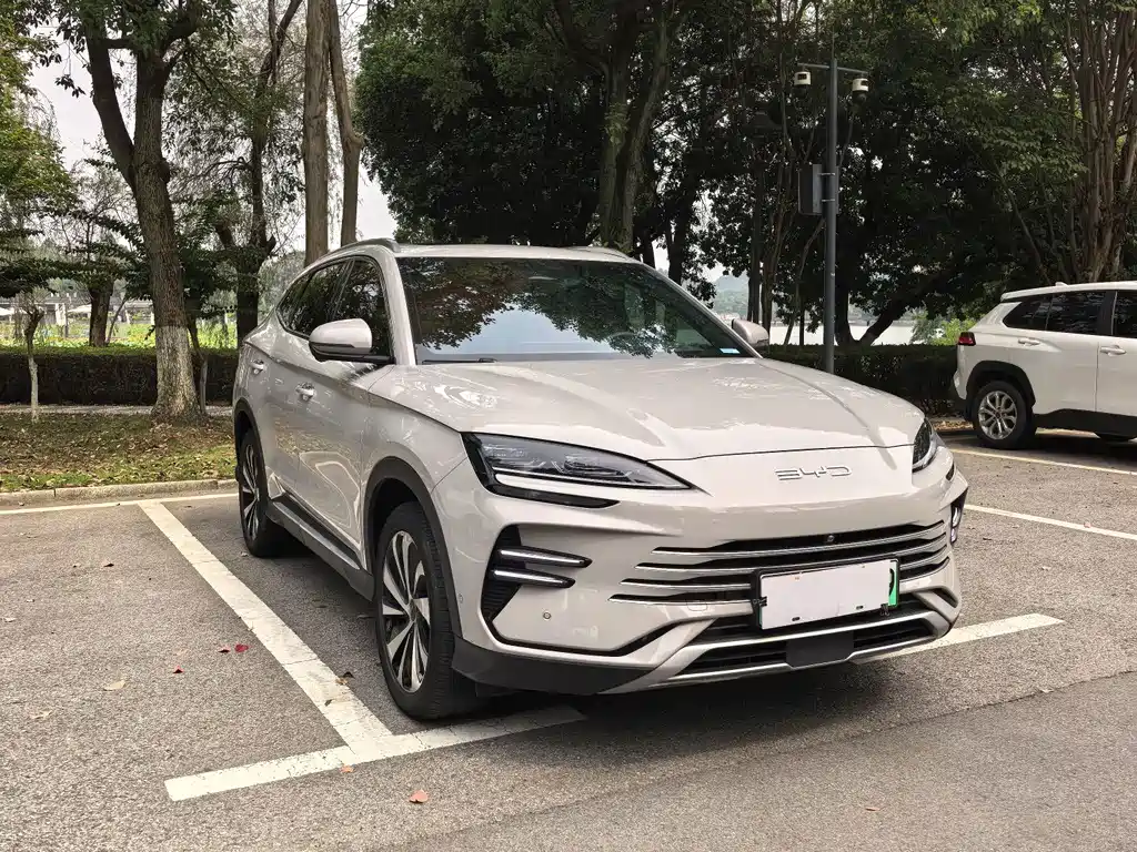 BYD PLUS New Energy — фото 3