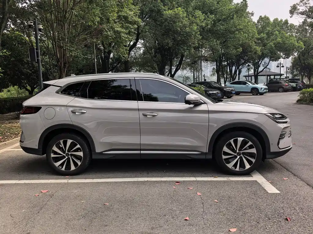 BYD PLUS New Energy — фото 4