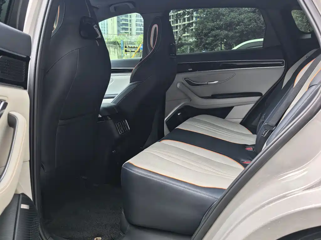 BYD PLUS New Energy — фото 10