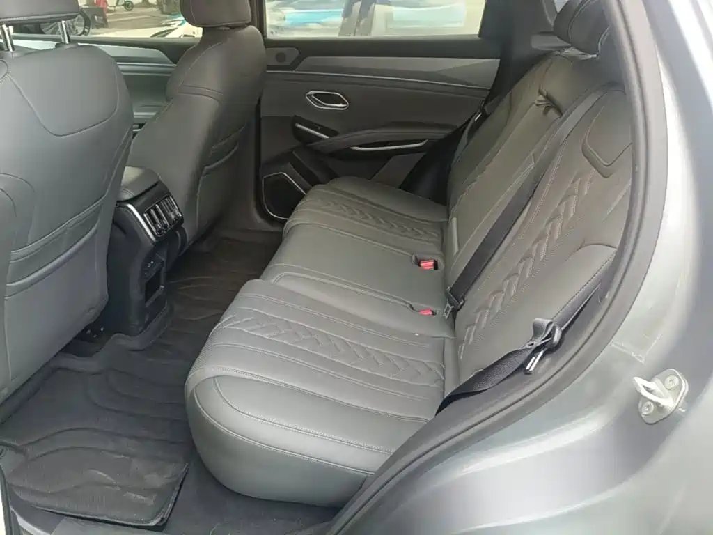BYD L DM-i — фото 17