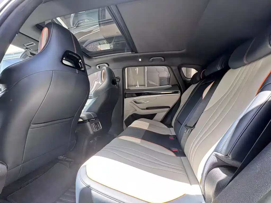 BYD PLUS New Energy — фото 11