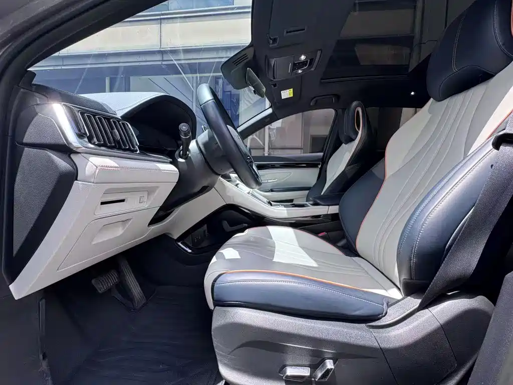 BYD PLUS New Energy — фото 10