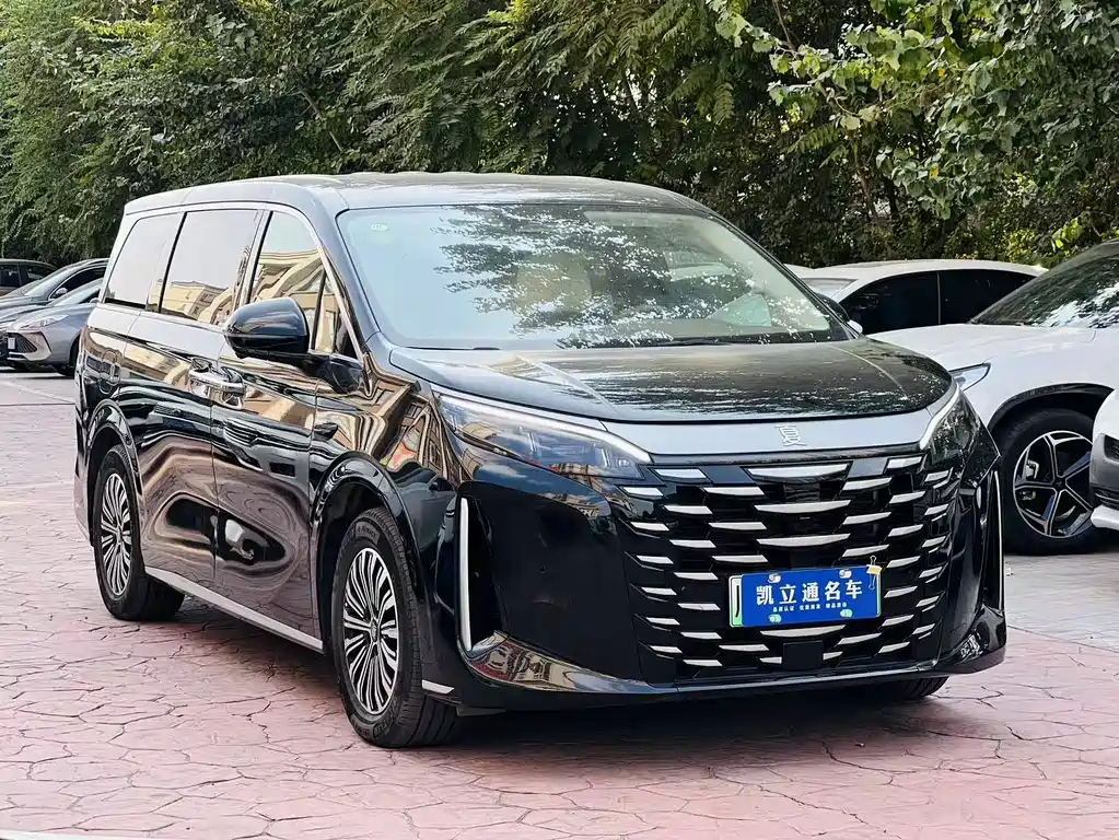 BYD Xia — фото 3