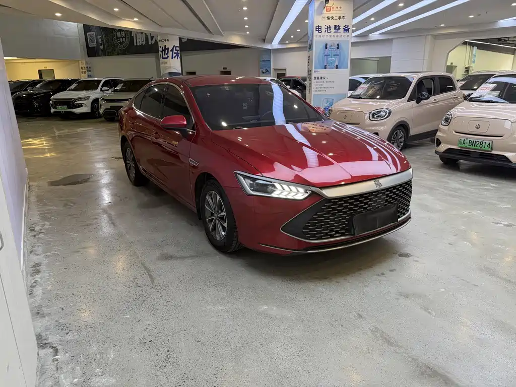 BYD Qin PLUS — фото 3