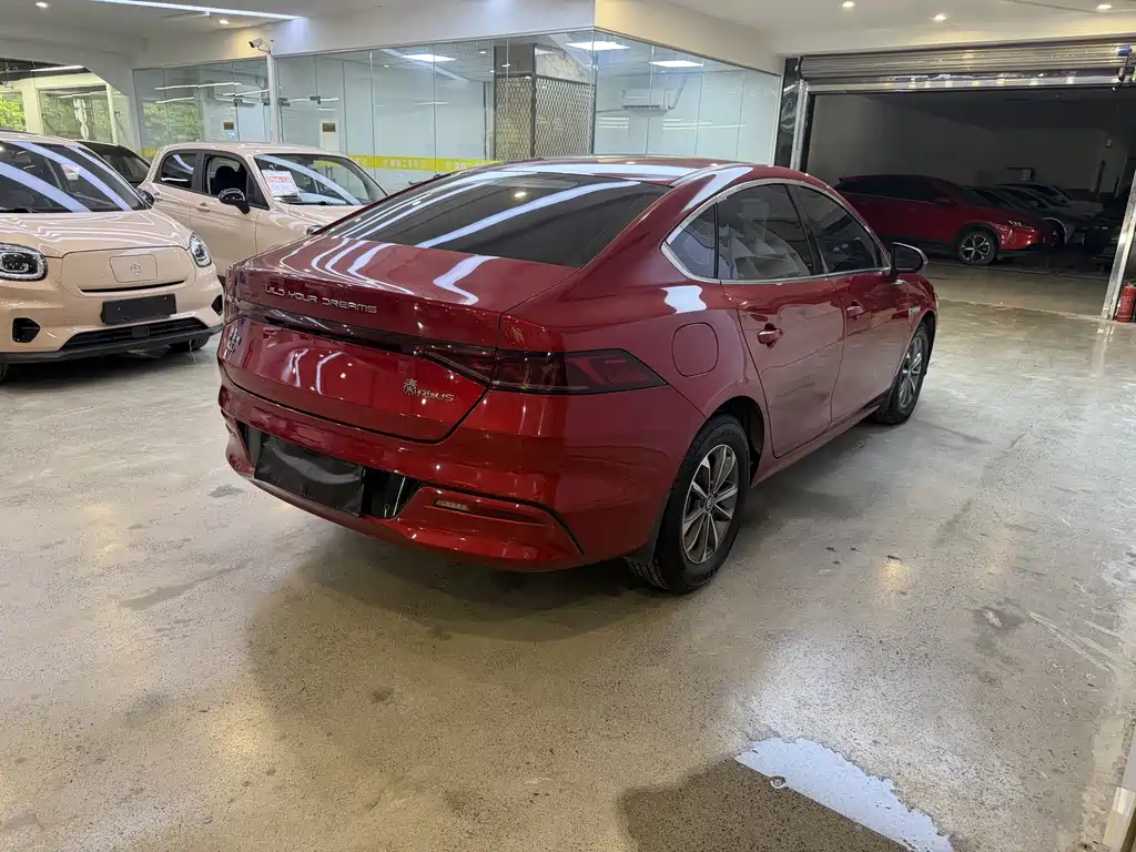 BYD Qin PLUS — фото 4