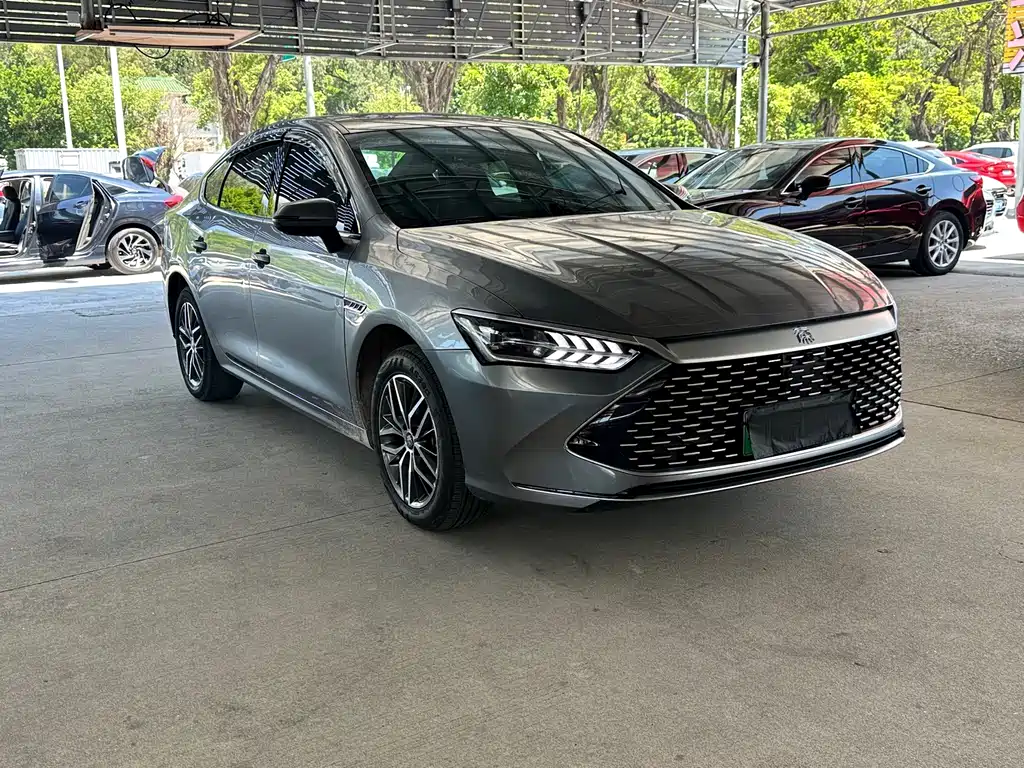 BYD Qin PLUS — фото 2