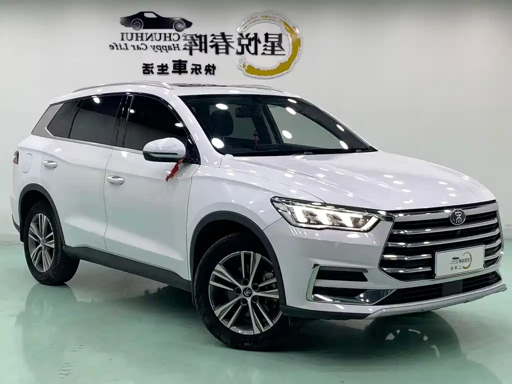 BYD Pro — фото 3